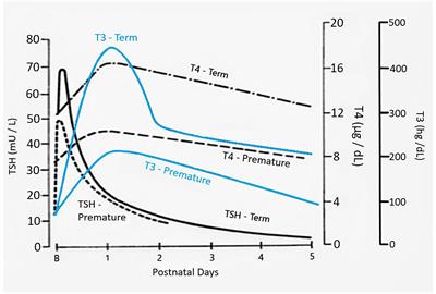 Thyroid Function in Preterm/Low Birth Weight Infants: Impact on Diagnosis and Management of Thyroid Dysfunction